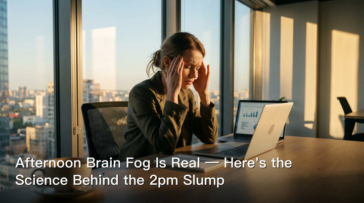 Afternoon Brain Fog Is Real — Here's the Science Behind the 2pm Slump